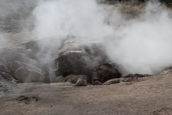 Steaming rocks — Stock Photo, Image