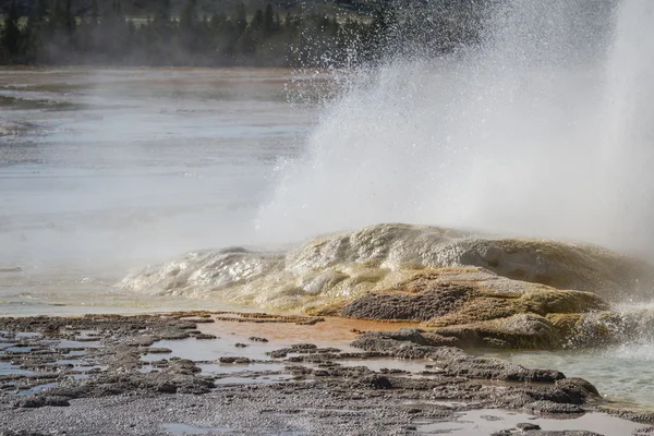 Yellowstone geyser — Fotografie, imagine de stoc