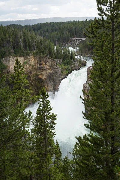 Waterfall in yellwosotone — Stock Photo, Image
