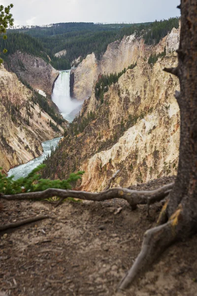 Die große Schlucht von Yellowstone — Stockfoto