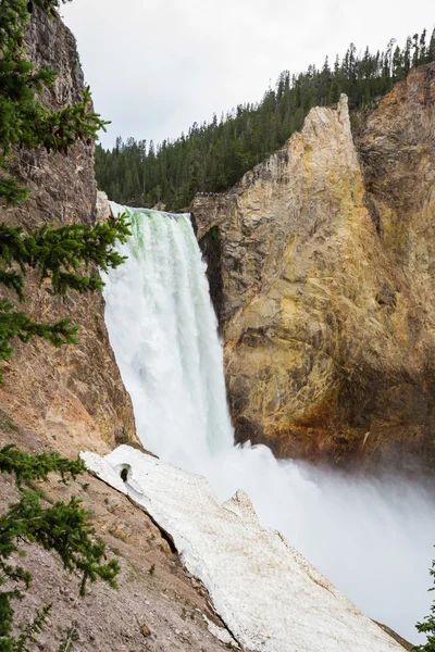 Niedrigere Wasserfälle in Yellowstone — Stockfoto