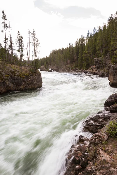 Rzeki Yellowstone — Zdjęcie stockowe