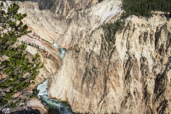 Il grande canyon di yellowstone — Foto Stock