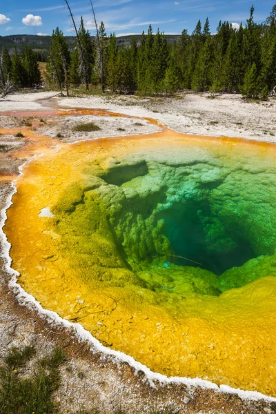 Morning glory pool — Stock Photo, Image