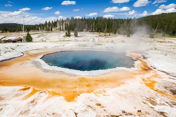 Geyser landscape — Stock Photo, Image