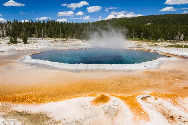 Geyser landskap — 图库照片