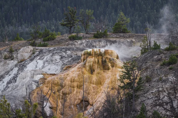 Géiser en Yellowstone —  Fotos de Stock