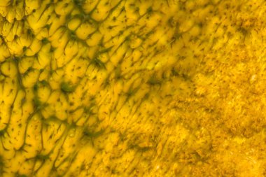 yellowstone içinde mineral oluşumları