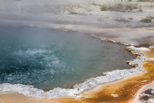 Гейзер в yellowstone — стокове фото