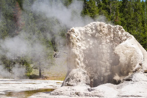 Geyser in yellowstone — Stock Photo, Image