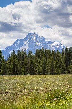 grand tetons 