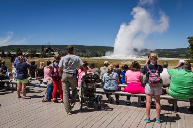 Yellowstone 'daki eski sadık gayzer 