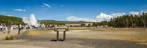 Vanha uskollinen geysir Yellowstonessa — kuvapankkivalokuva