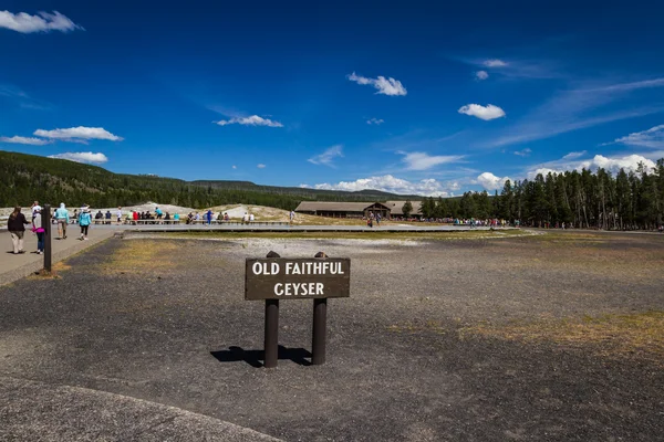 Old faithful geyser in Yellowstone — Stock Photo, Image