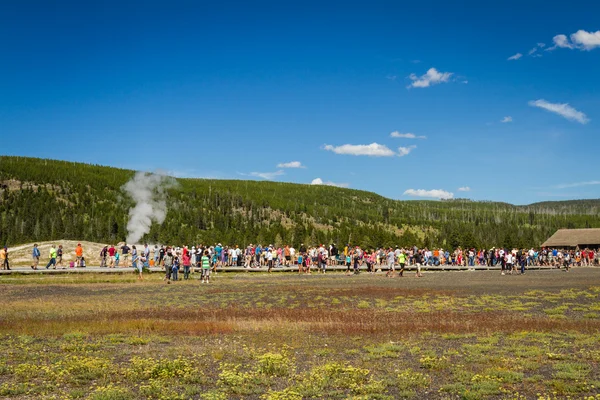 Old faithful geyser in Yellowstone — Stock Photo, Image