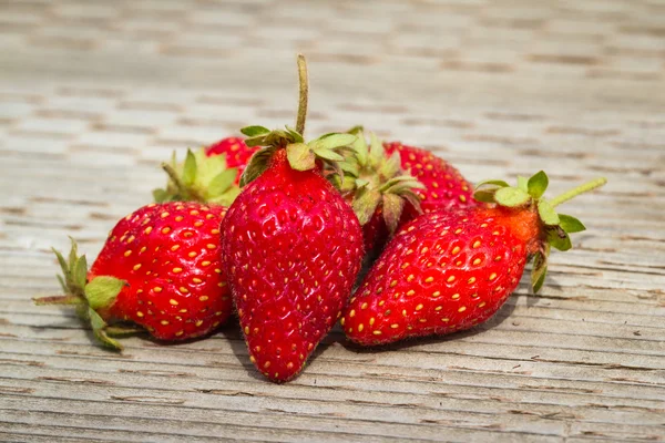 Fresas frescas — Foto de Stock