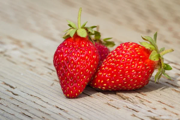 Frische Erdbeeren — Stockfoto