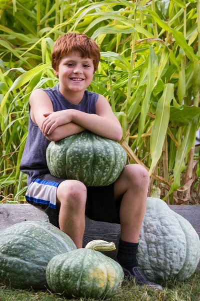 Young boy harvesting — Stock Photo, Image