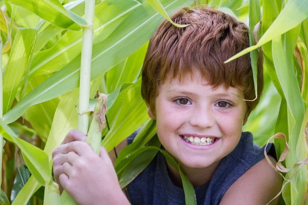 Young boy happy with his corn — Stock Photo, Image