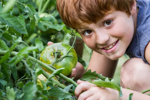 Young gardener — Stock Photo, Image