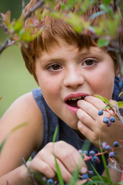 Fresh sweet berries — Stock Photo, Image