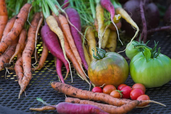 Gård färska grönsaker — Stockfoto