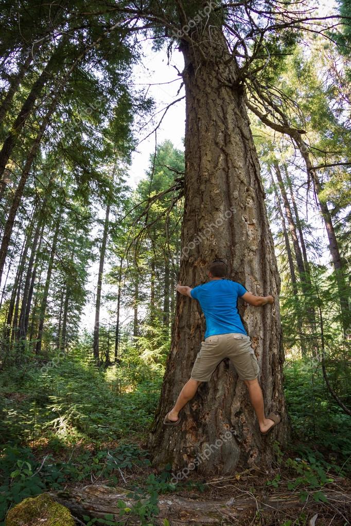 young man hugging a very large douglas fur tree in the oregon