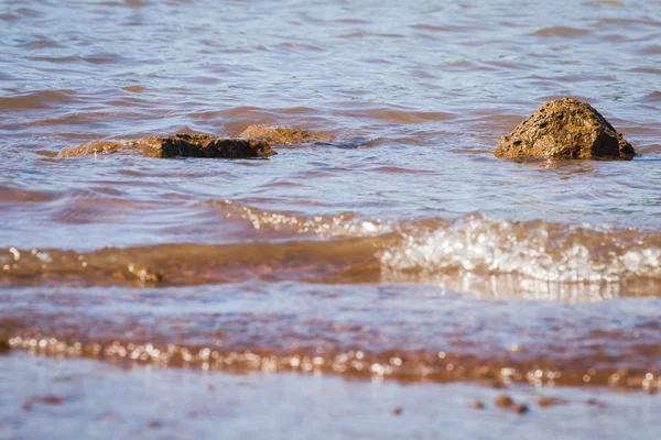 Shallow water closeup — Stock Photo, Image