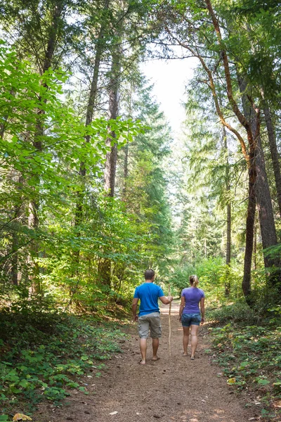 Wandelen in de fores — Stockfoto