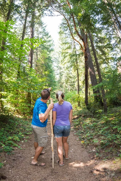 Promenader i fores — Stockfoto