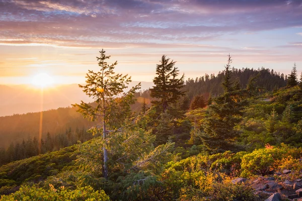 dağın tepesinde günbatımı 