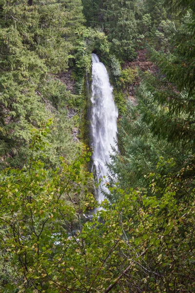 Mill creek falls — Stock Photo, Image