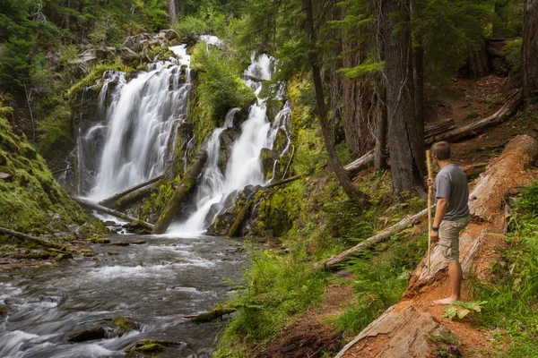 Hiking in the oregon forest — Stock Photo, Image