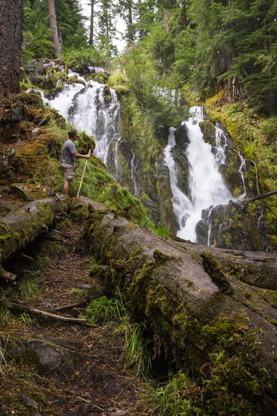 Escursioni nella foresta dell'Oregon — Foto Stock