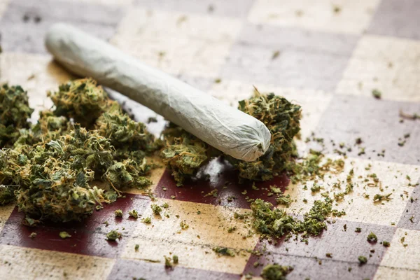 Marijuana joint closeup — Stock Photo, Image