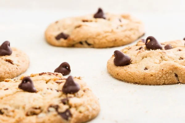 Fresh backed chocolate chip cookies — Stock Photo, Image