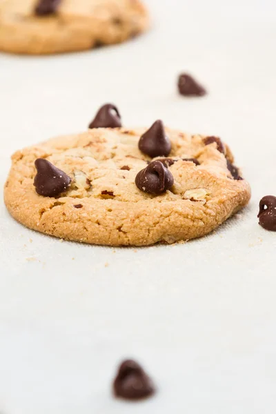 Fresh backed chocolate chip cookies — Stock Photo, Image