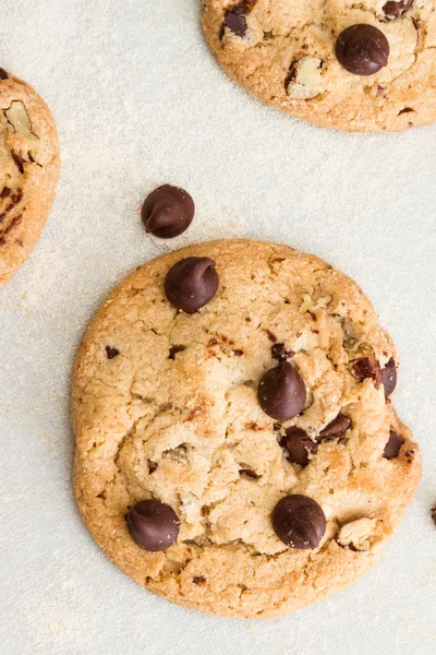 新鮮なチョコレート チップ クッキーのバックアップ — ストック写真