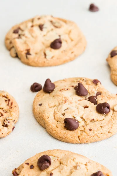 Biscoitos de chocolate fresco apoiado — Fotografia de Stock