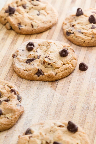 Biscoitos de chocolate fresco apoiado — Fotografia de Stock