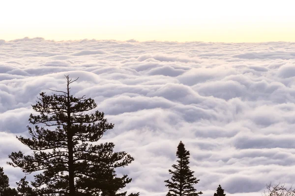 Salida del sol sobre las nubes —  Fotos de Stock