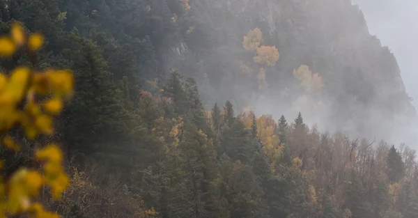 Mañana de otoño en las montañas —  Fotos de Stock