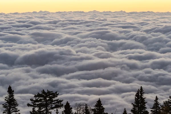 Salida del sol sobre las nubes —  Fotos de Stock