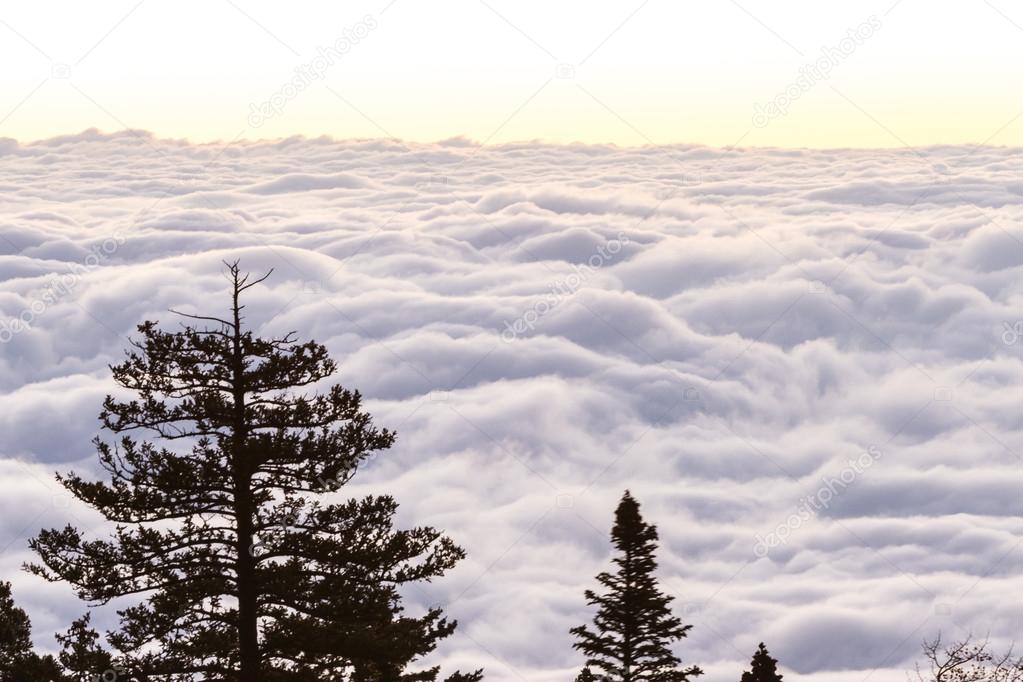 sunrise above the clouds 