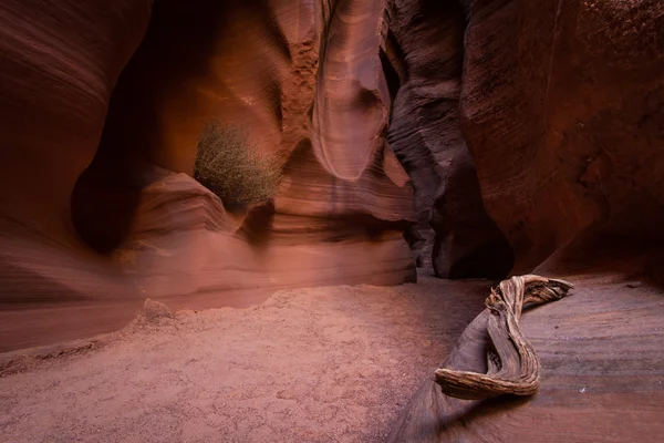 Slot canyon — Stock Photo, Image