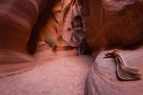 Slot canyon — Stock Photo, Image