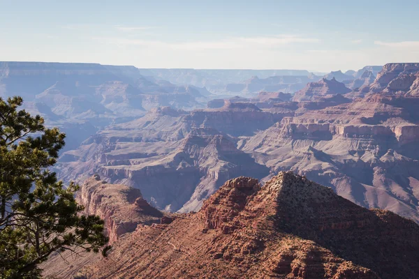 Canyon grandioso — Foto Stock