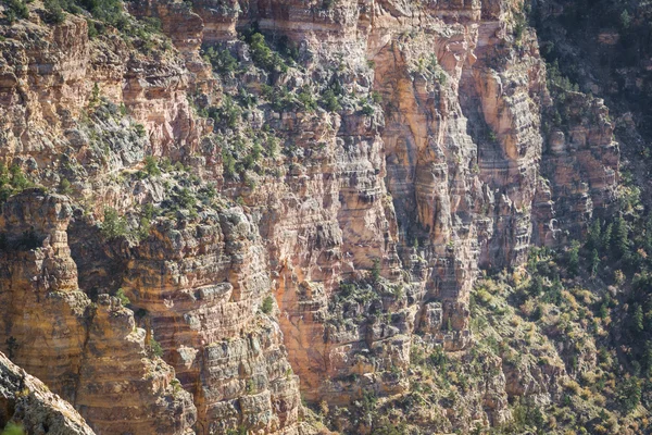 Canyon grandioso — Foto Stock