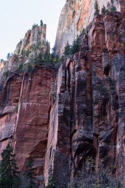 Zion national park 