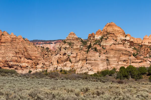 Mountains in Zion NP — Stock Photo, Image